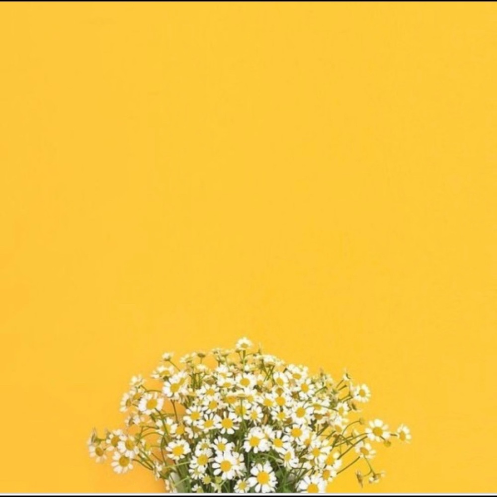 Meet your Posher, Kn